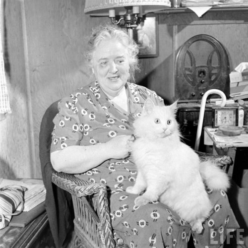 老照片：1947年的导盲猫