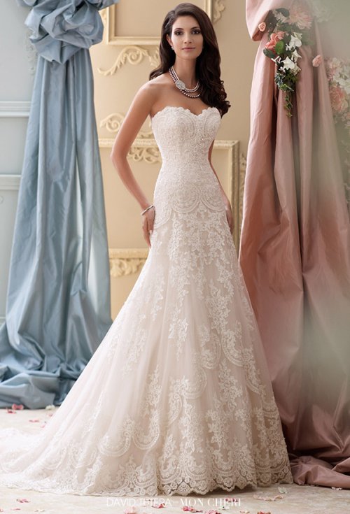 David Tutera for Mon Cheri 2024春季婚纱礼服系列 