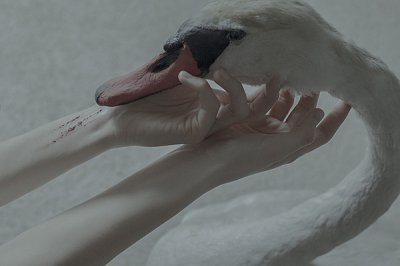 Laura Makabresku摄影作品