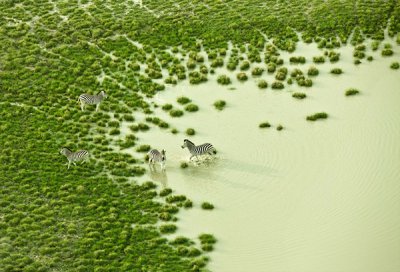 Zack Seckler空中摄影作品