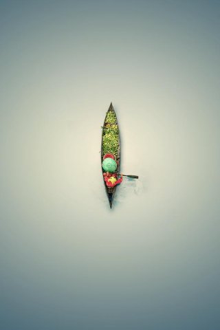 新浪微博 近期精选(112513)