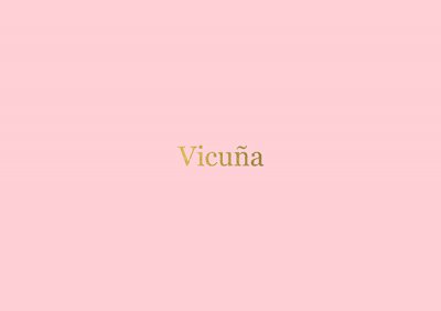 埃及开罗时尚品牌Vicu&#241;a视觉VI设计