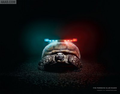 乌龟创意广告