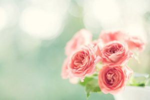 晚安心语：把日子过成诗，简单而精致