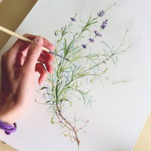 忙是治疗一切神经病的良药