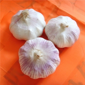 大蒜泡醋有什么功效 醋泡大蒜好处多多