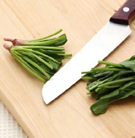 菠菜根能吃吗 吃菠菜时根千万别丢