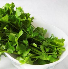 香菜的功效与作用 吃香菜的5大好处和3大坏处
