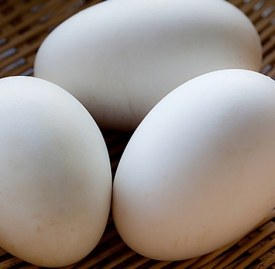 孕妇吃鹅蛋多久吃一个 孕妇吃鹅蛋比吃鸡鸭蛋好吗