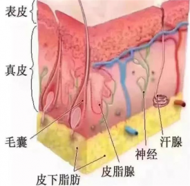 痘印形成的原因 痘印产生原因及淡化痘印的方法