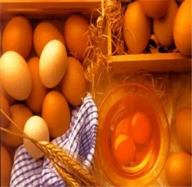 鸡蛋祛斑方法 8种鸡蛋祛斑方法介绍