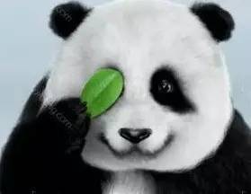 黑眼圈怎么去除 七个小妙招告别熊猫眼