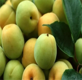怎么改善粗糙皮肤 吃这7种食物改善肌肤粗糙