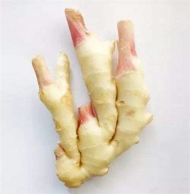 生姜泡脚可以治咳嗽吗 适用于风寒咳嗽