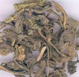 大青叶的功效与作用 清热解毒大青叶药效介绍