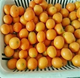 孩子感冒小偏方 把它蒸熟给孩子吃治疗感冒好