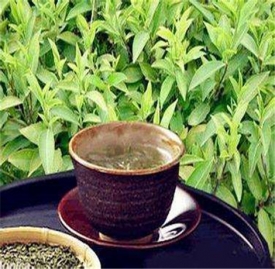 冬季喝什么茶去湿气 5款茶饮有效去除湿气