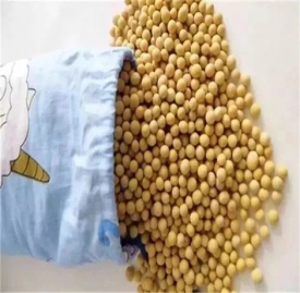 黄豆枕头的好处及做法 黄豆灌在枕头里好处多多