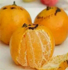 治咳嗽的偏方