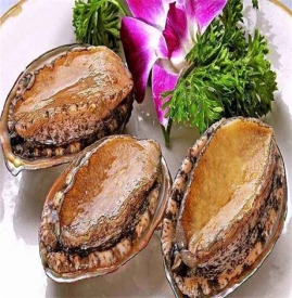 鲍鱼菜谱的做法