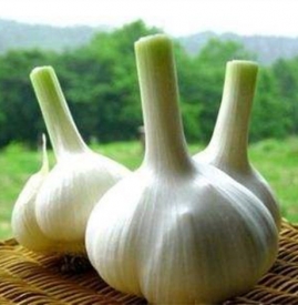 大蒜和什么一起吃好