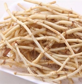 鱼腥草有什么功效