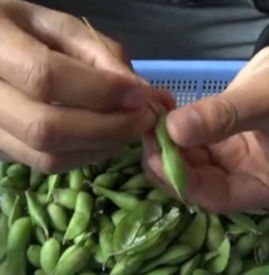 快速剥毛豆的方法 剥毛豆技巧最快方法