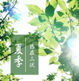中伏最热吗