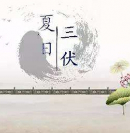 三伏天哪一伏最热 三伏天什么时候最热