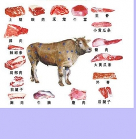 牛肉分割图及名称 牛肉部位分割图
