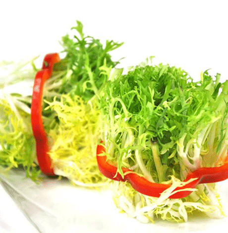 孕妇能吃苦菊吗 孕妇可以吃苦菊吗
