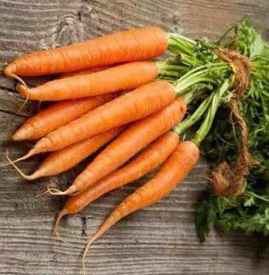 吃胡萝卜能减肥吗 吃胡萝卜可以减肥吗