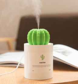 迷你加湿器可以对着脸喷吗 迷你加湿器能吹脸吗