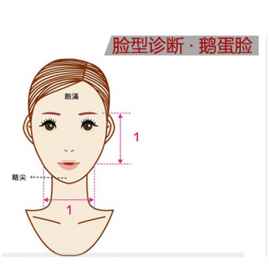标准脸是鹅蛋脸吗