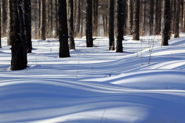 冬季雪景拍摄攻略