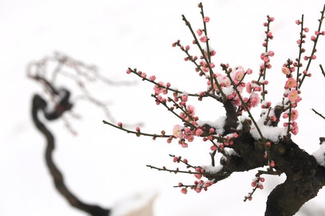 冬季雪景拍摄攻略