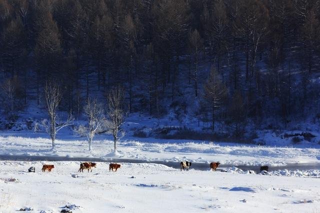 冬季雪景拍摄攻略