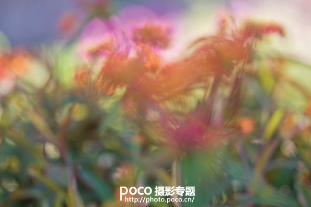 转移焦点拍微距花卉 混合图层制作创意照片