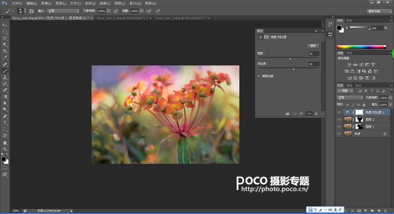 转移焦点拍微距花卉 混合图层制作创意照片