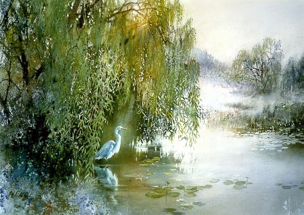 美国Nita Engle水彩插画
