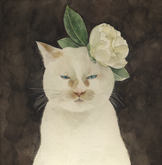 日本插画师Midori Yamada喵星人插画