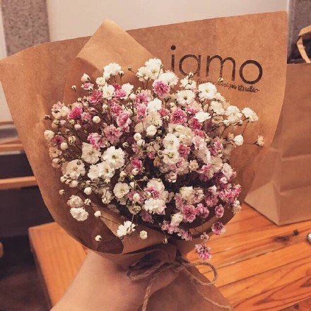 那些美丽的花儿