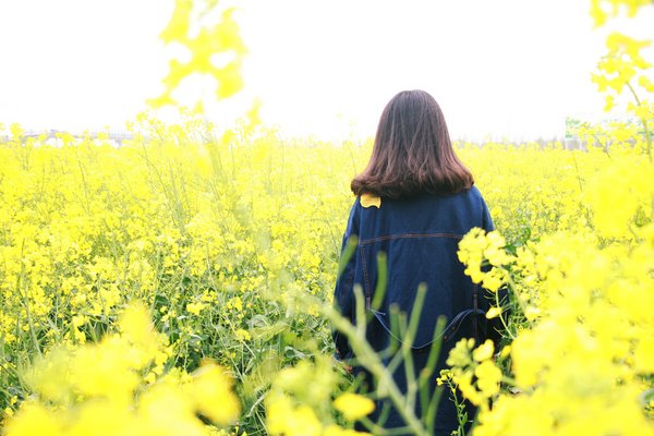 一大波小清新风格摄影欣赏