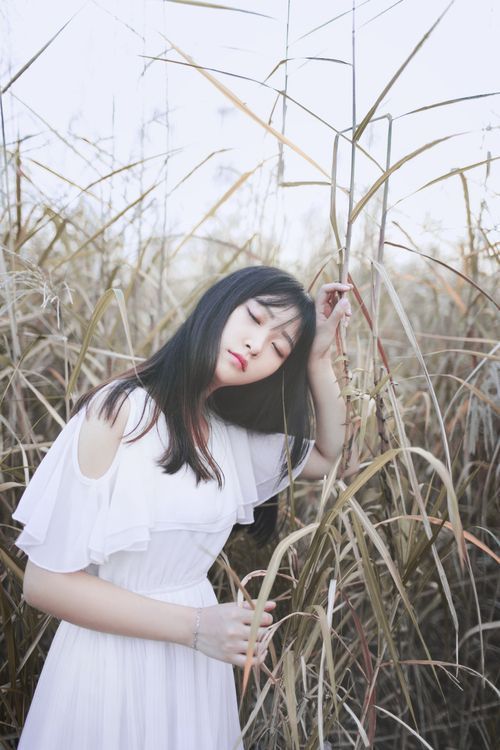 芦苇中的精灵