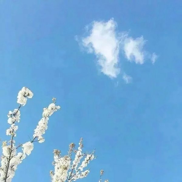 唯美天空摄影