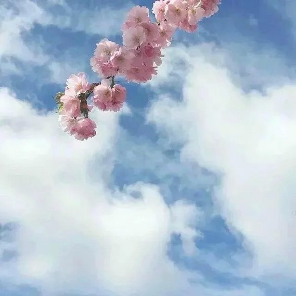 唯美天空摄影