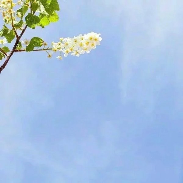 唯美天空摄影