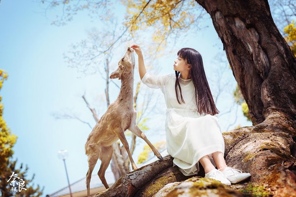 美女与小鹿唯美摄影