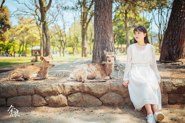 美女与小鹿唯美摄影