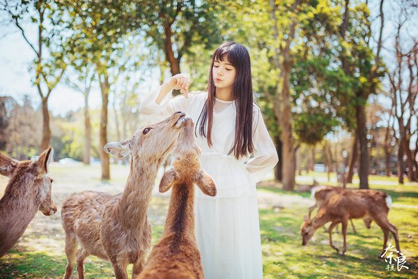 美女与小鹿唯美摄影